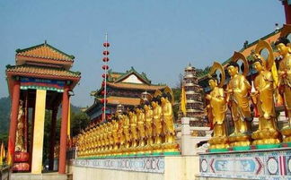 拜佛,寺院,注意事項