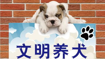 養(yǎng)狗的注意事項(xiàng),過(guò)敏性鼻炎養(yǎng)狗注意事項(xiàng),孕婦養(yǎng)狗注意事項(xiàng)