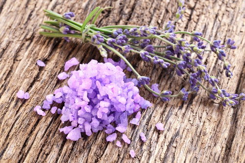 薰衣草采摘注意事項