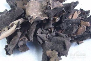 石耳食用注意事項(xiàng)