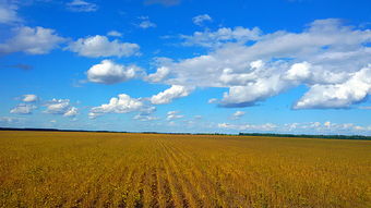 伊春旅游注意事項(xiàng)