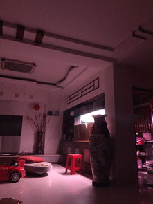 魚缸,注意事項(xiàng)