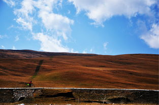 8月去青海湖注意事項(xiàng)