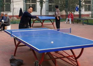 乒乓球使用注意事項