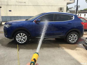 打蠟,新車,注意事項(xiàng)