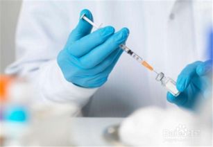 打狂犬疫苗注意事項有哪些,打狂犬疫苗注意事項忌口有哪些,貓咪打狂犬疫苗注意事項