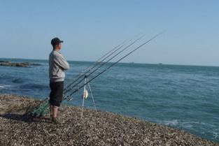 電魚(yú),海水,注意事項(xiàng)