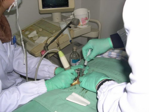 做腎活檢需要注意事項,腎活檢后注意事項,腎活檢術(shù)后的注意事項