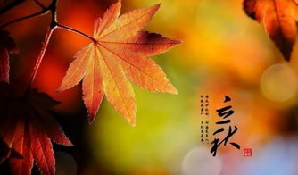 立秋需要注意事項(xiàng)