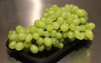 葡萄過濾注意事項