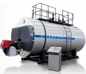 燃?xì)忮仩t安全注意事項(xiàng),燃?xì)忮仩t安全操作規(guī)程及注意事項(xiàng),燃?xì)忮仩t運(yùn)行注意事項(xiàng)