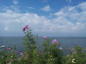 洱海旅游注意事項(xiàng)