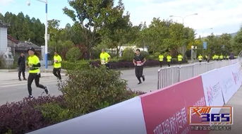 大型戶外活動注意事項及安全措施,戶外活動的注意事項,戶外活動安全注意事項