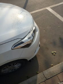 去洗車店洗車注意事項,摩托車洗車注意事項,洗車技巧及注意事項