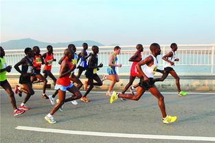 跑馬拉松的技巧和注意事項,跑馬拉松的準(zhǔn)備和注意事項,新手跑馬拉松注意事項