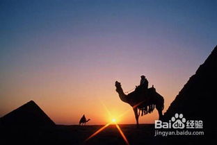 肯尼亞自助游注意事項