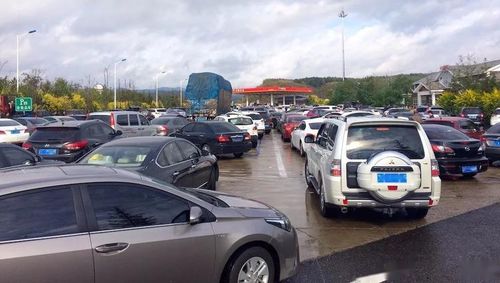 拋錨,簡述,注意事項,操作