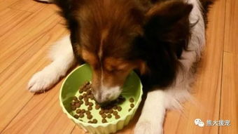 抗酸染色注意事項,he染色注意事項,芽孢染色注意事項