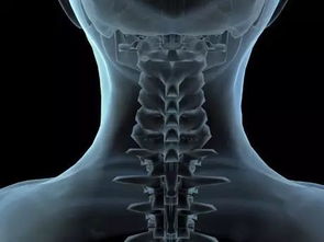 晨練的注意事項(xiàng),高血壓患者晨練注意事項(xiàng),冬季晨練注意事項(xiàng)