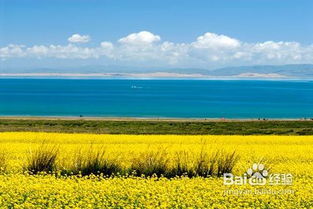 青海湖,注意事項(xiàng),五一游