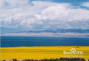 去青海湖注意事項(xiàng),青海湖旅游注意事項(xiàng),青海湖自駕注意事項(xiàng)