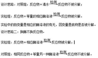 測(cè)量,注意事項(xiàng),實(shí)驗(yàn)