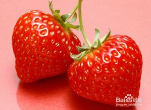 草莓移栽注意事項,草莓種植注意事項,草莓澆水注意事項