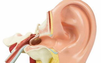 硬化癥,注意事項