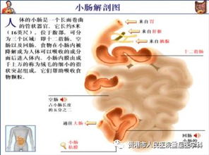 腸穿孔術后注意事項
