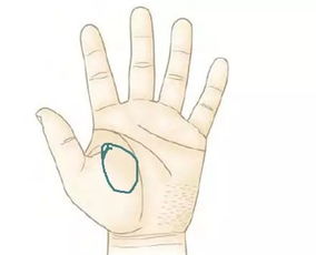 風(fēng)濕的注意事項(xiàng),風(fēng)濕患者注意事項(xiàng),風(fēng)濕關(guān)節(jié)痛注意事項(xiàng)