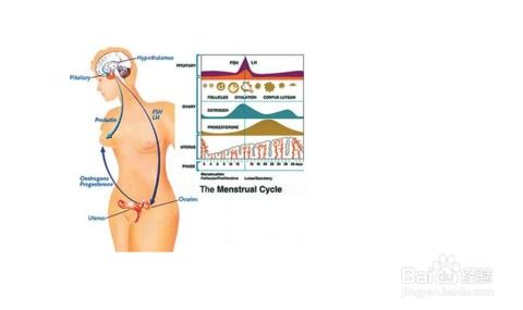 注意事項(xiàng)