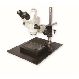 顯微鏡,注意事項