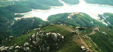 進山游玩注意事項,黃楊移栽注意事項,黃楊澆水注意事項