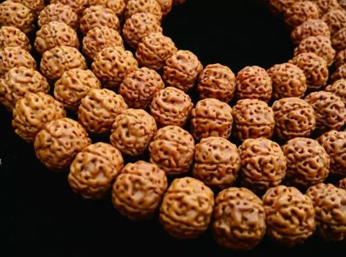 菩提,注意事項,金剛