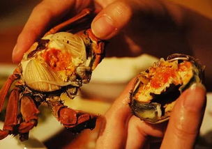 史克腸蟲清的吃法和注意事項,松茸吃法及注意事項,藏紅花吃法和注意事項