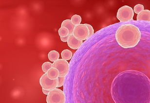 查卵泡要注意事項