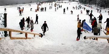 商量,注意事項,滑雪