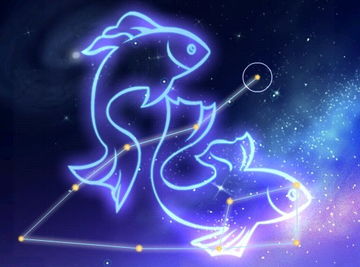 雙魚配雙魚注意事項