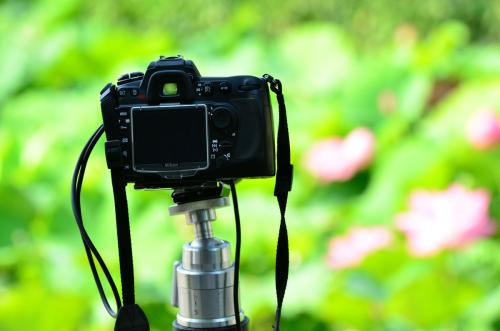 二手單反注意事項,購買二手單反注意事項,單反拍照注意事項