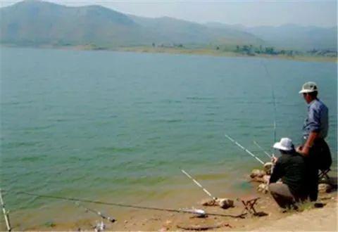 水庫(kù)放魚注意事項(xiàng)