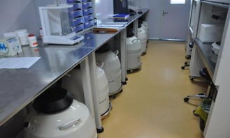 解凍移植后注意事項