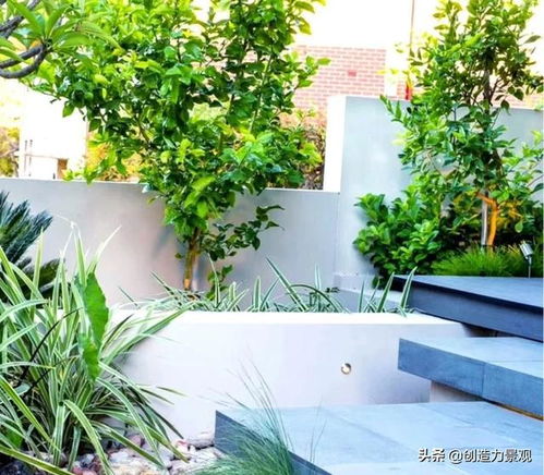 花園魚池養(yǎng)魚注意事項(xiàng),養(yǎng)魚的注意事項(xiàng),塑料桶養(yǎng)魚注意事項(xiàng)