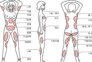 面部吸脂后注意事項(xiàng),腰腹吸脂后注意事項(xiàng),吸脂手術(shù)后的護(hù)理及注意事項(xiàng)