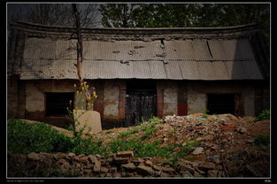 塔吊拆除注意事項(xiàng),石膏拆除后的護(hù)理注意事項(xiàng),墻體拆除注意事項(xiàng)