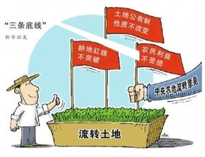 承包農(nóng)村土地注意事項