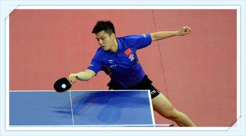 乒乓球,注意事項