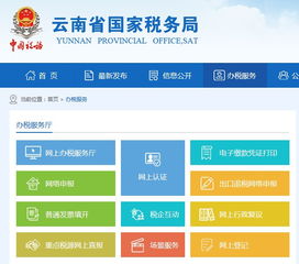 網(wǎng)上報(bào)稅注意事項(xiàng)