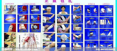 止血,包扎,注意事項