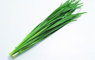 孕婦吃韭菜的注意事項