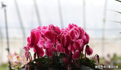 技術(shù)標(biāo)暗標(biāo)注意事項(xiàng),電子標(biāo)書(shū)的注意事項(xiàng),封標(biāo)注意事項(xiàng)